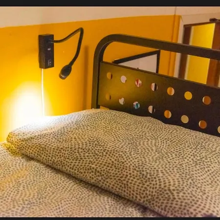 Sunflower Beach Backpacker Hostel-3